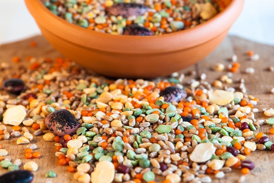 Bab - élelmiszer a rák megelőzésére