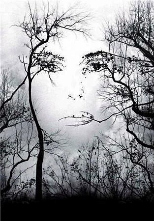 Mit látsz a képen?